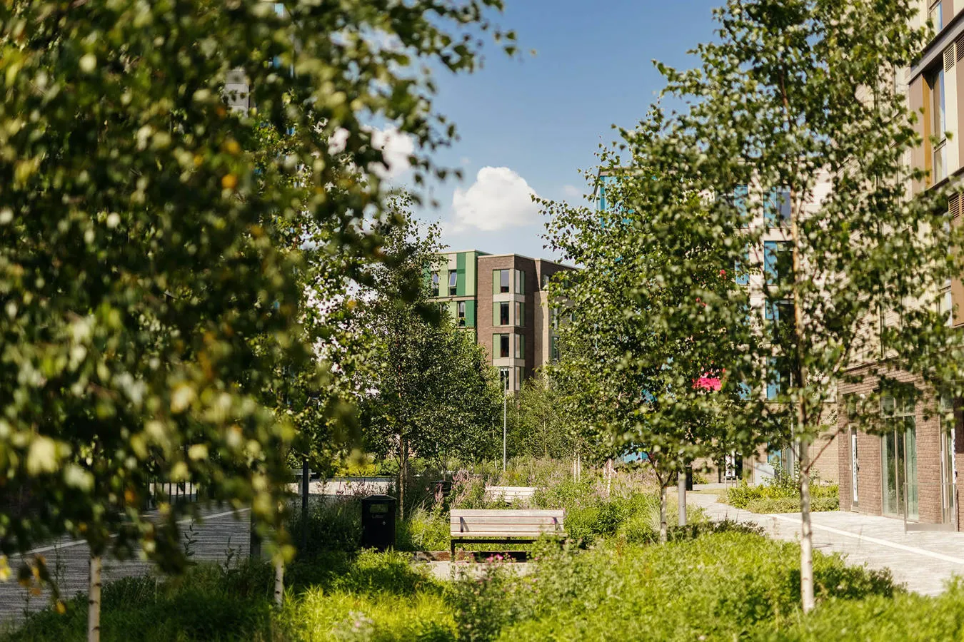 Green space outside of the Westfield Court accommodation