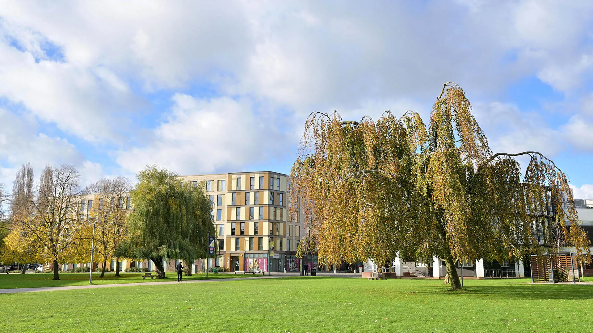 Exterior of the Westfield Court accommodation with a willow tree and lawn in the foreground