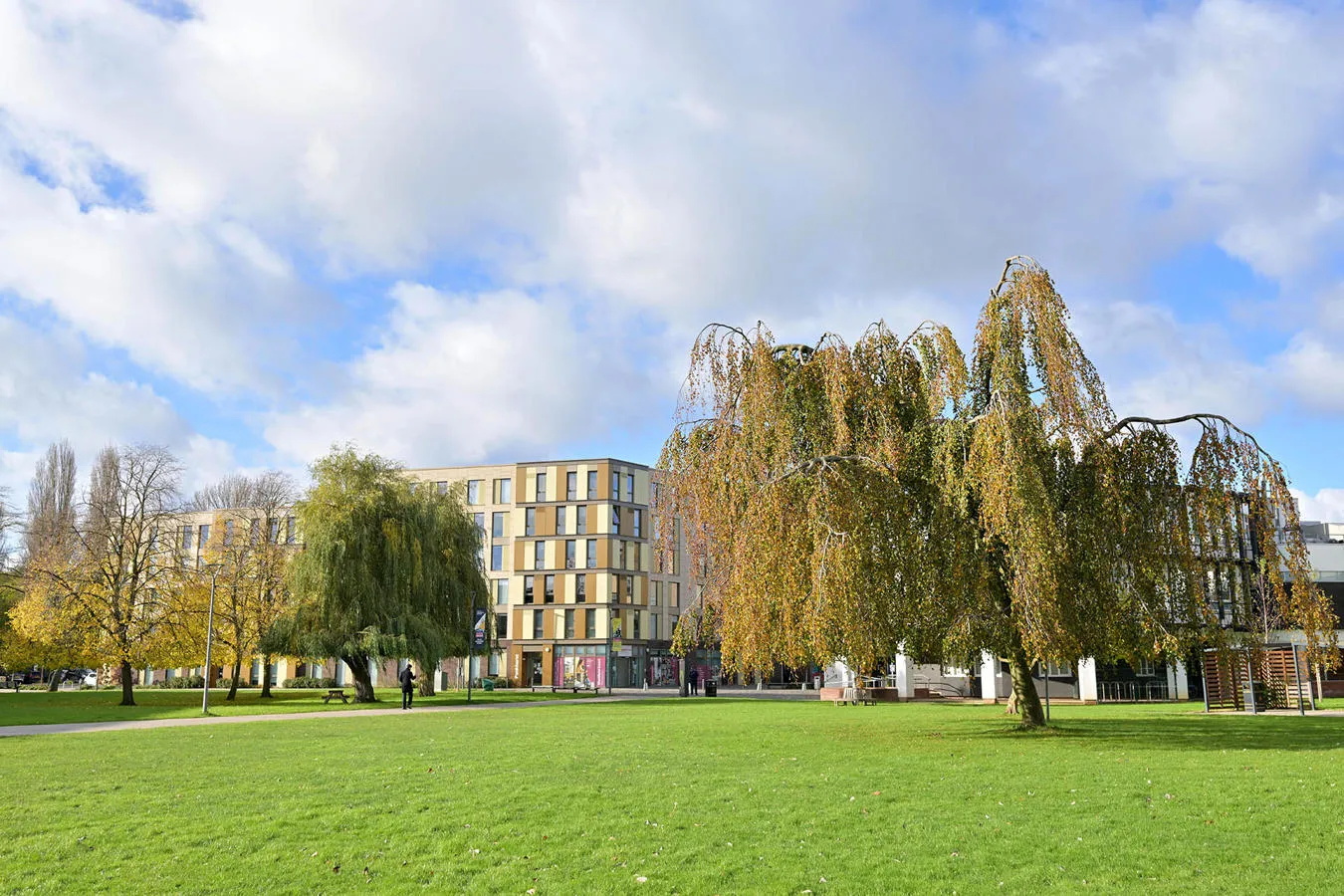 Exterior of the Westfield Court accommodation with a willow tree and lawn in the foreground
