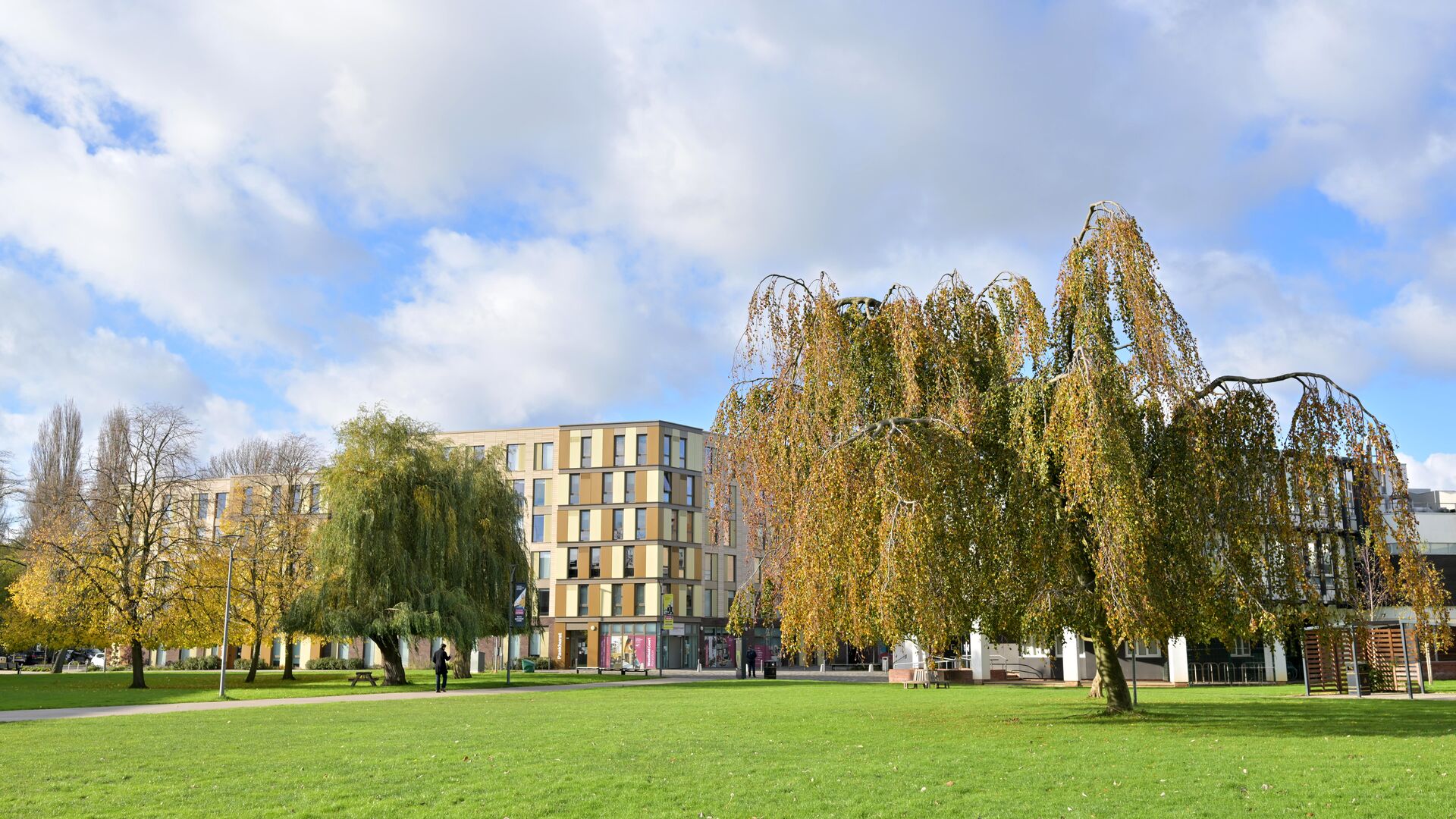 Hull University on campus student accommodation with trees in foreground