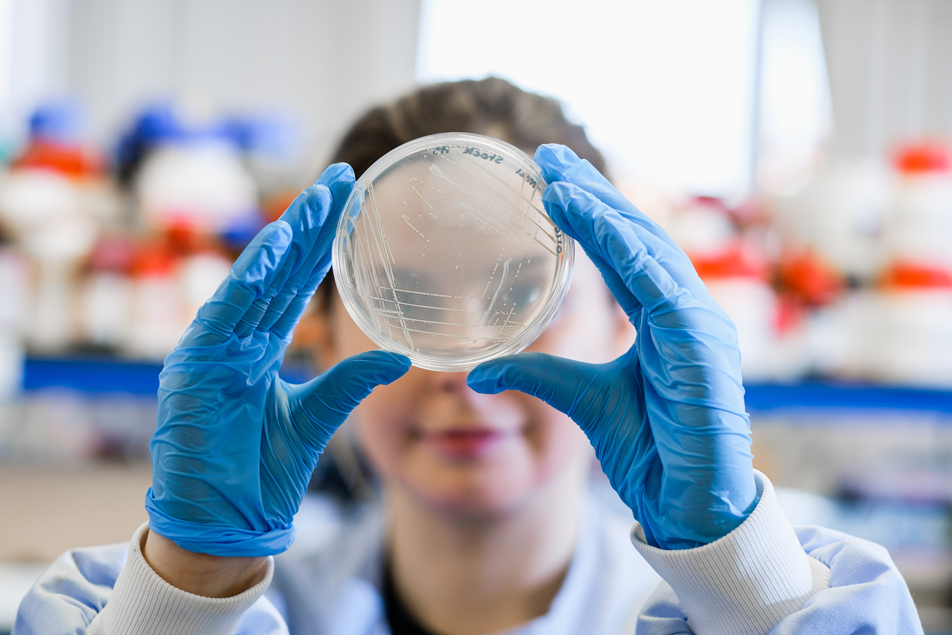 A researcher holds a petri dish with gloved hands