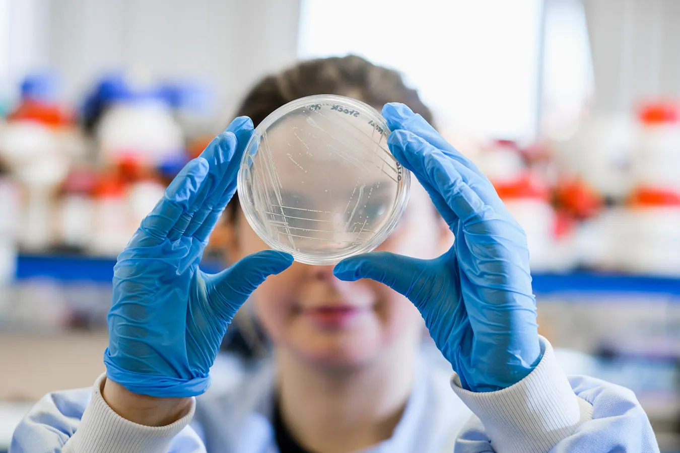 A researcher holds a petri dish with gloved hands