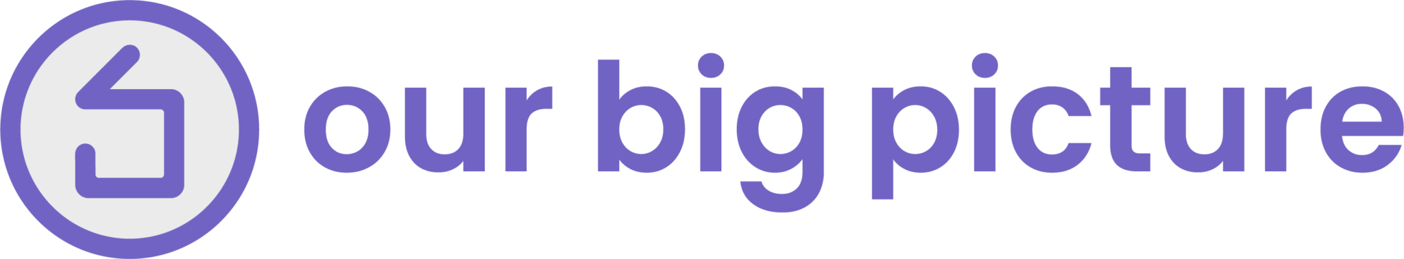 Our Big Picture logo
