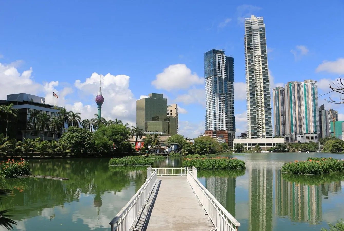A wooden viewing platform extends over water with palm trees and high rise buildings beyond 