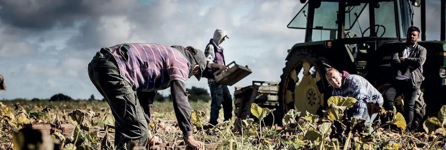 People working on field with tractor nearby