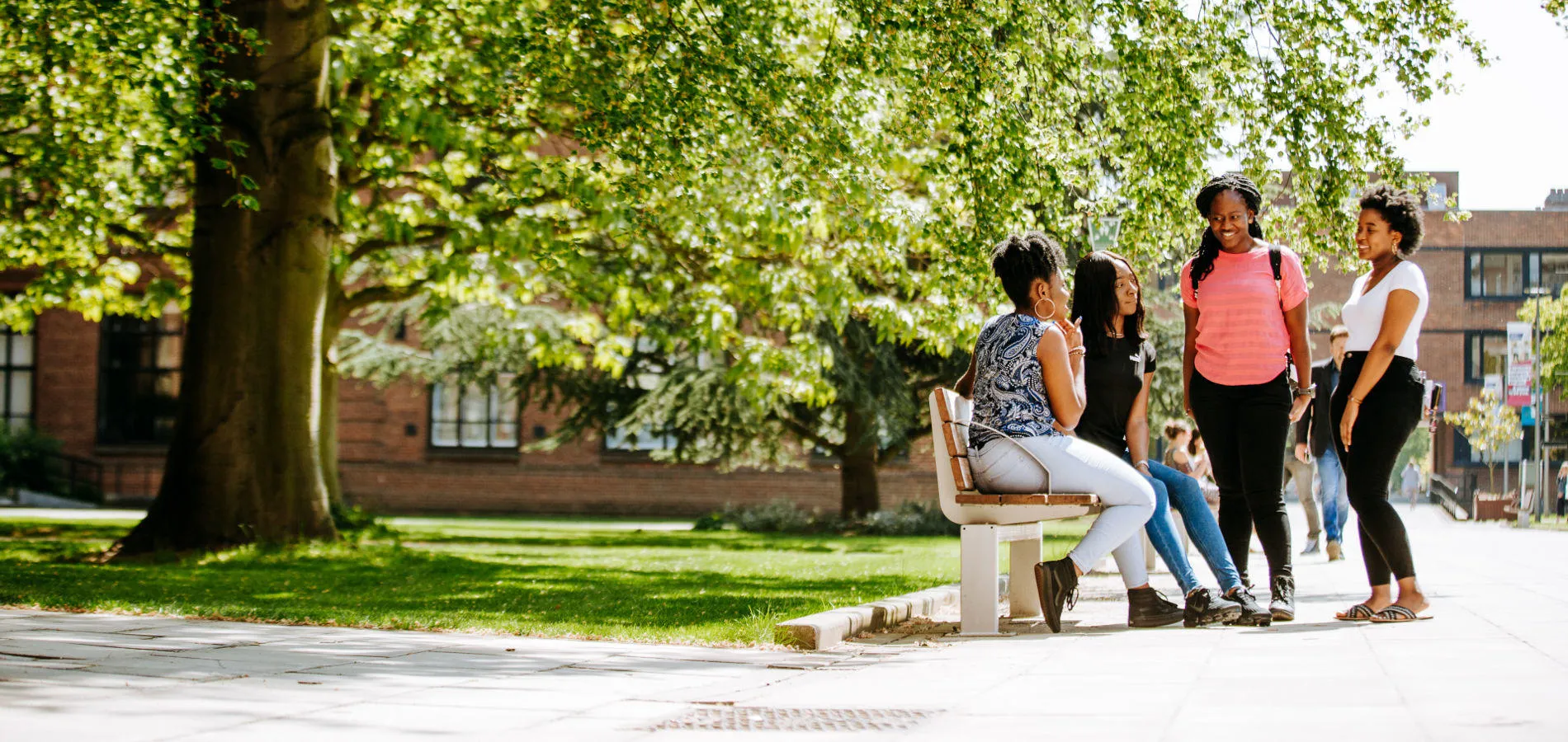 Students talking sat on bench and stood in front of tree