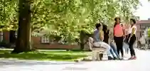 Students talking sat on bench and stood in front of tree