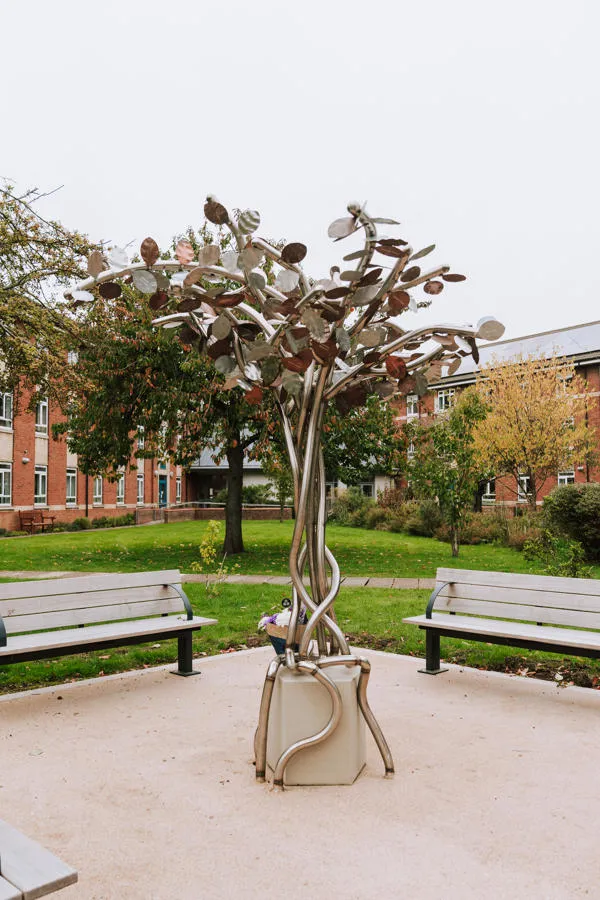 memorial tree on campus