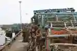 lobster and crab pots stacked along quayside