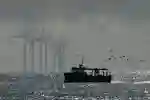 A boat and birds pass in front of offshore wind turbines in the north sea