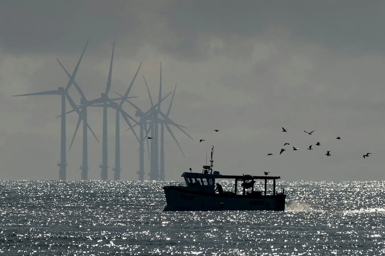 A boat and birds pass in front of offshore wind turbines in the north sea