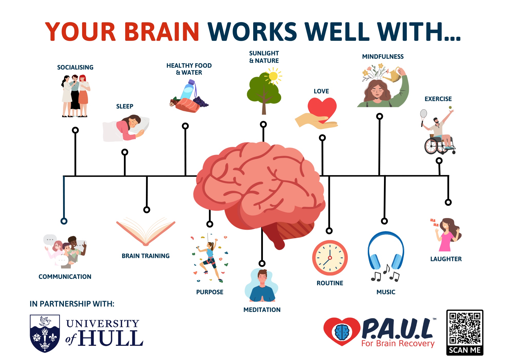 graphic of a human brain and 14 wellness factors
