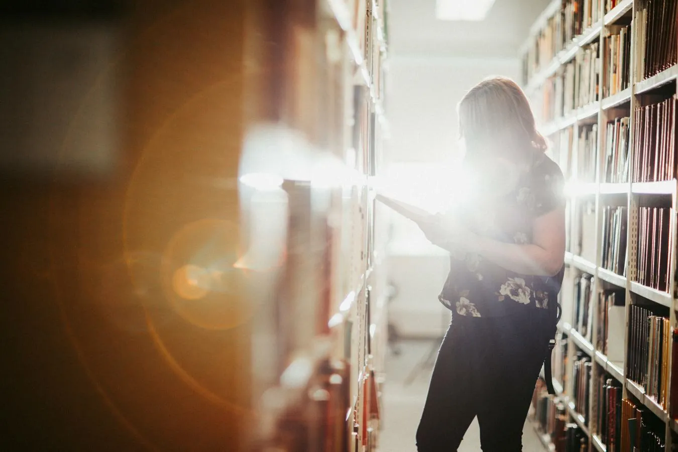 silhouetted student reading between library shelves against brightly illuminated backdrop