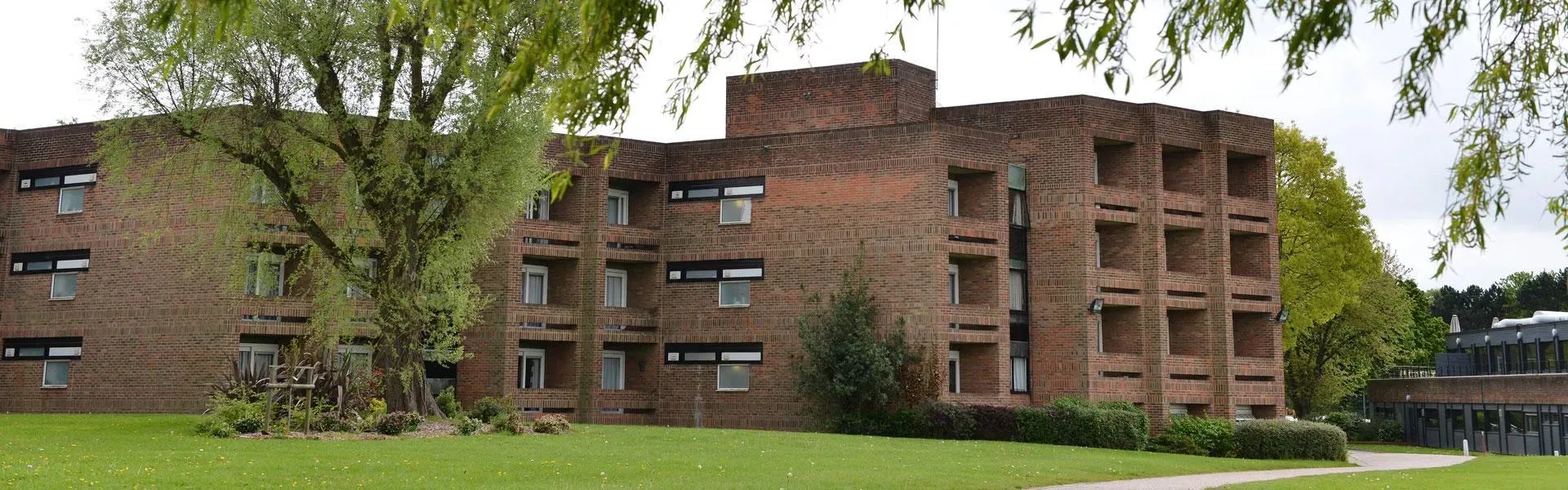 The Lawns building with tree in front