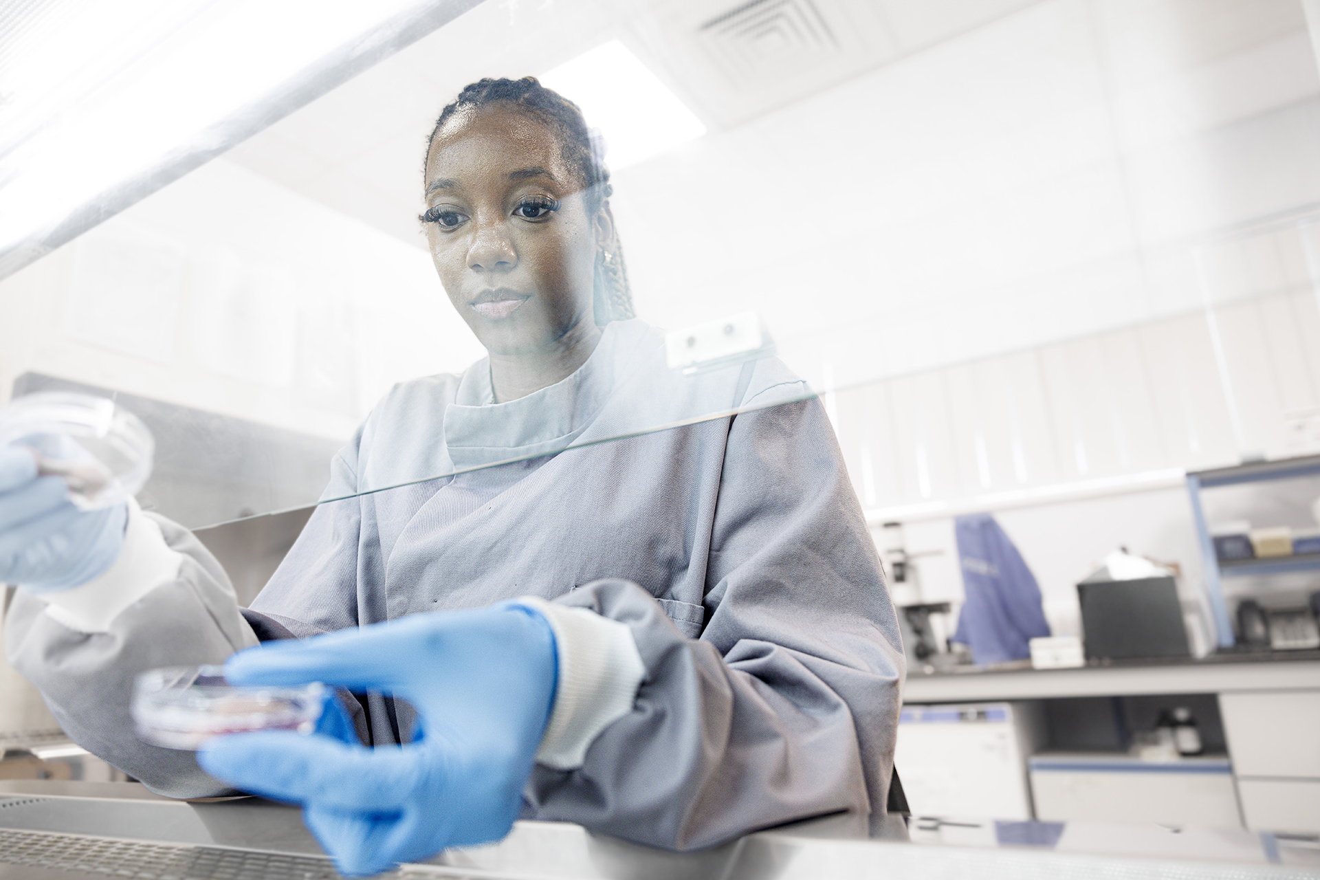 A Wound Innovation Institute researcher handles two petri dishes with blue gloves