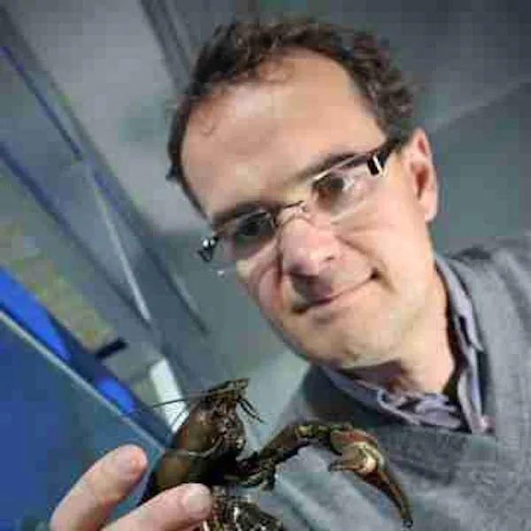 Dr Thomas Breithaupt