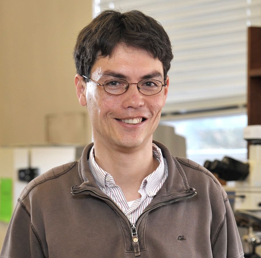 Dr Martin Buzza