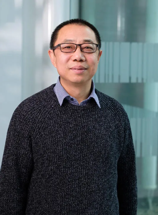 Professor Youwei Li