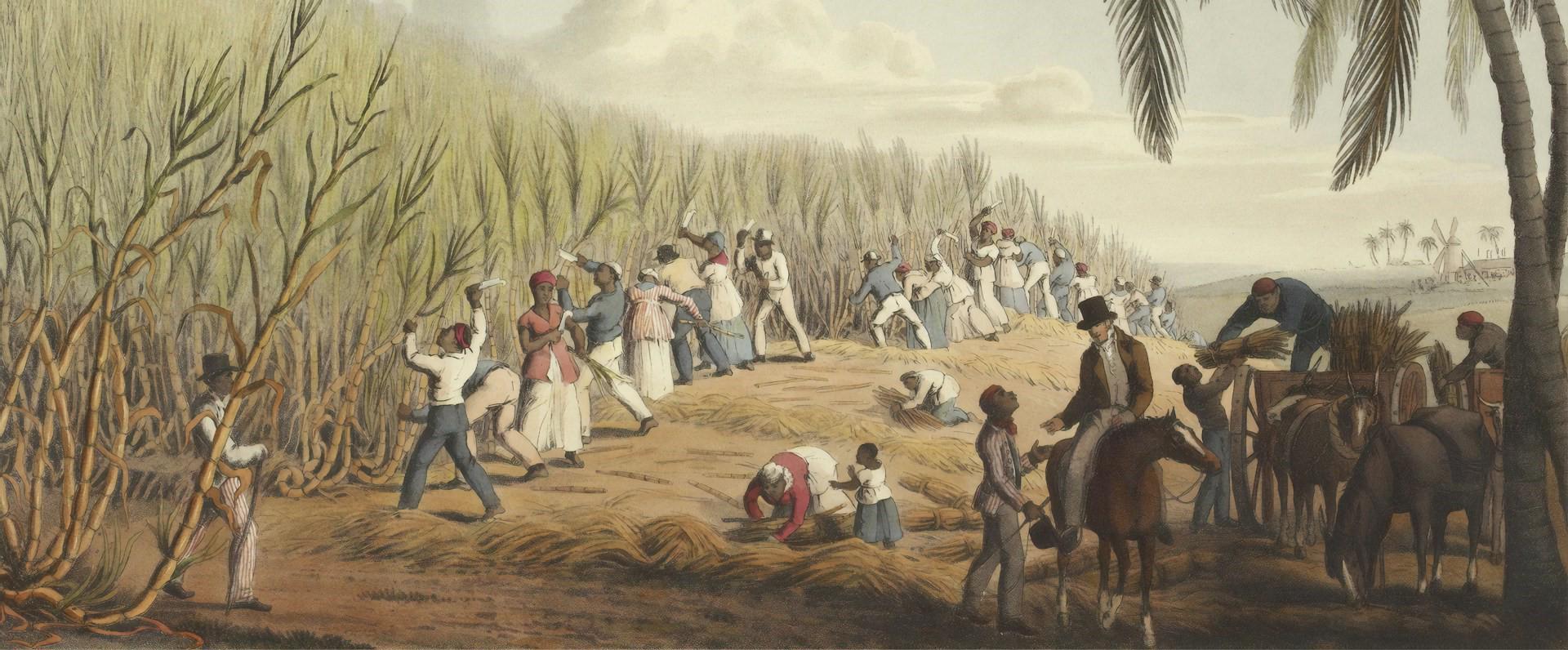 Caribbean-slavery-british-library-unsplash_web