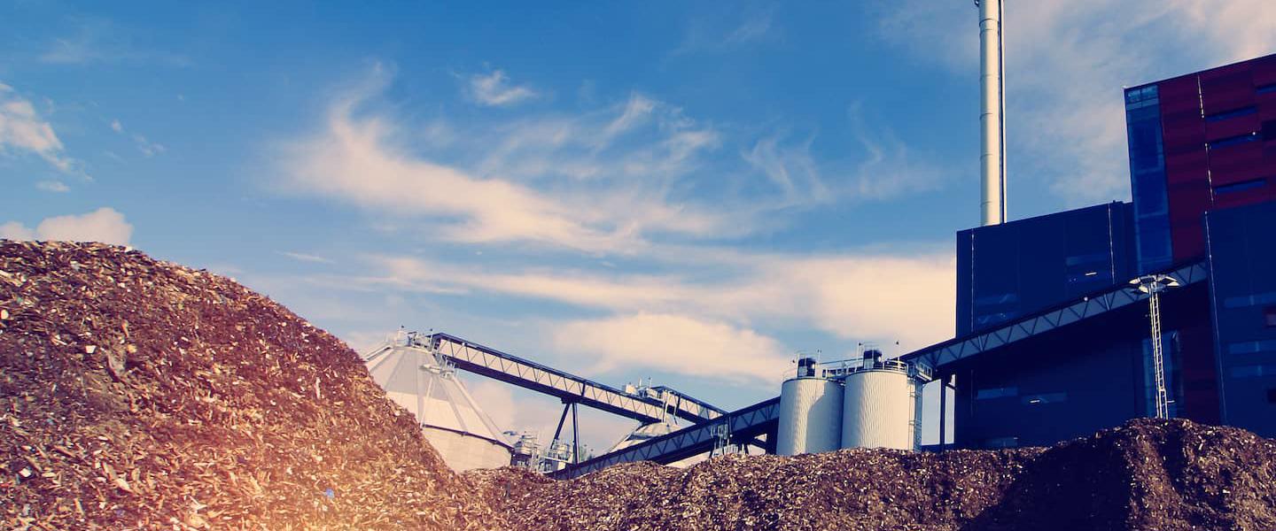 Biomass