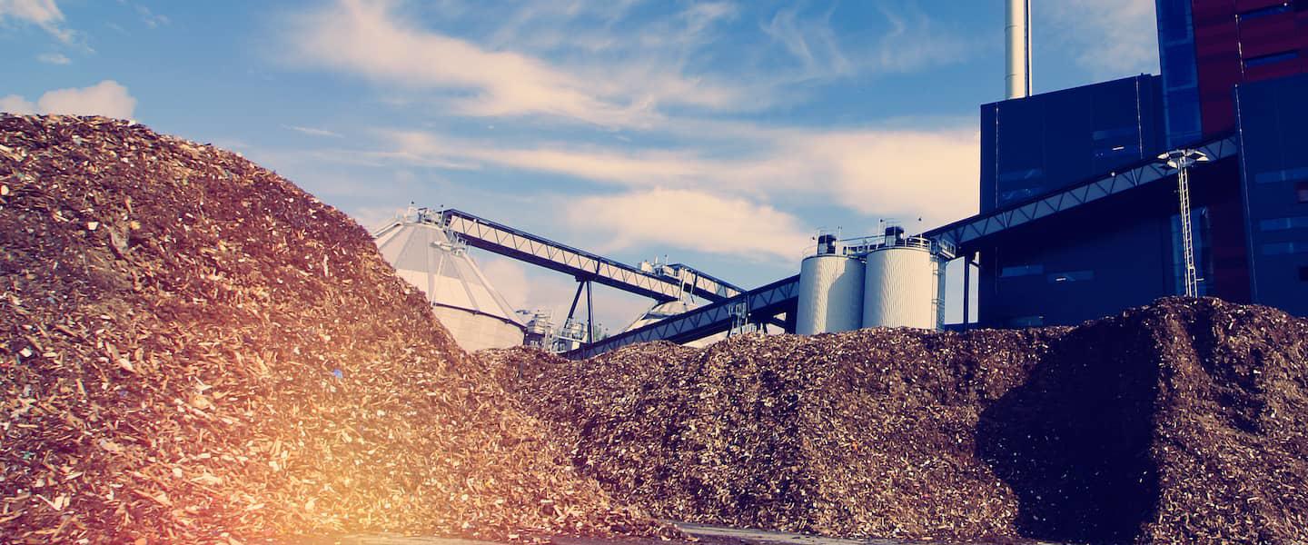Biomass
