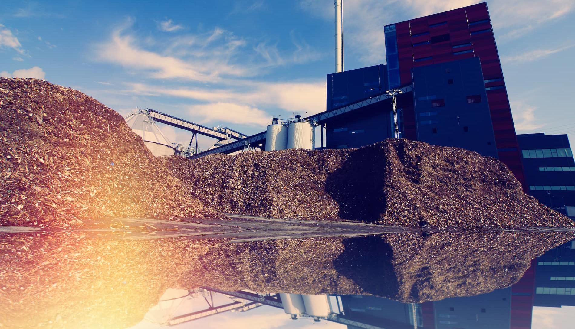 Biomass