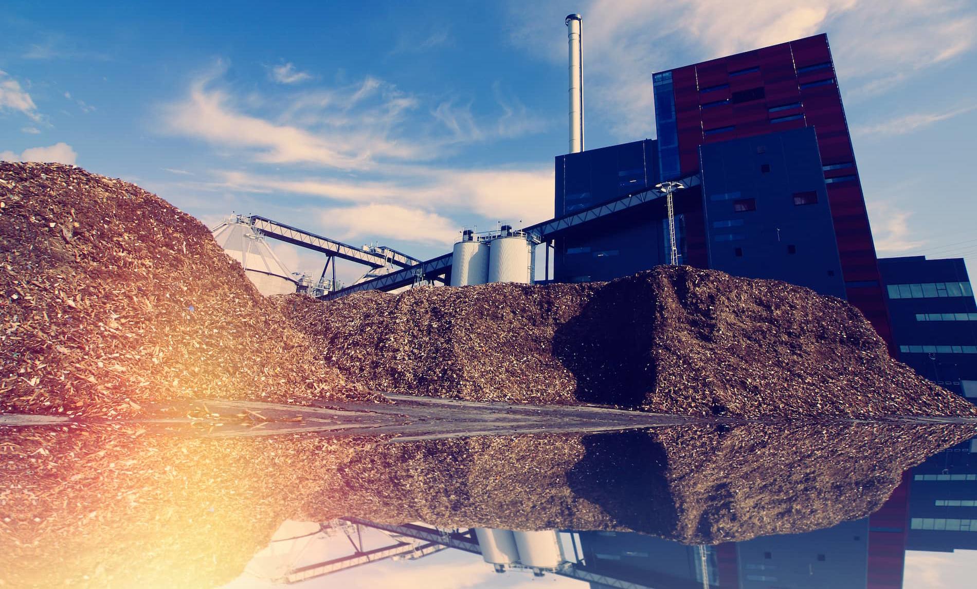 Biomass