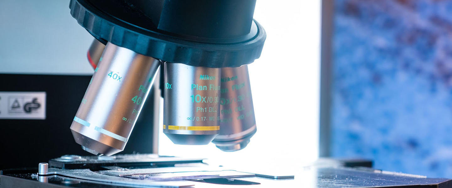 microscopes in a lab