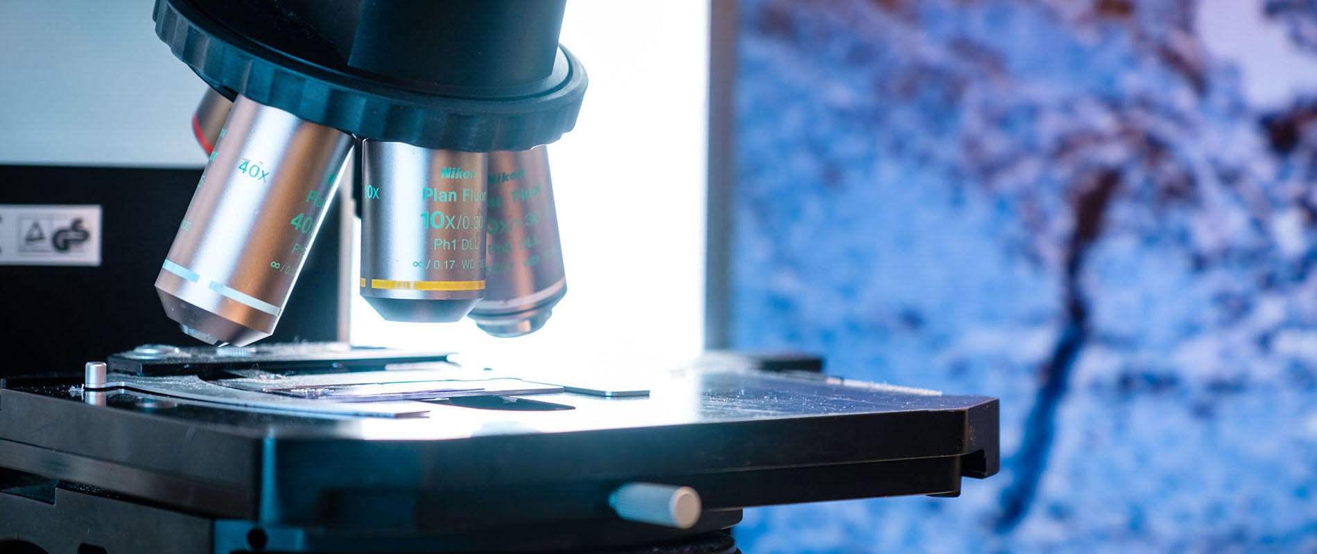 microscopes in a lab