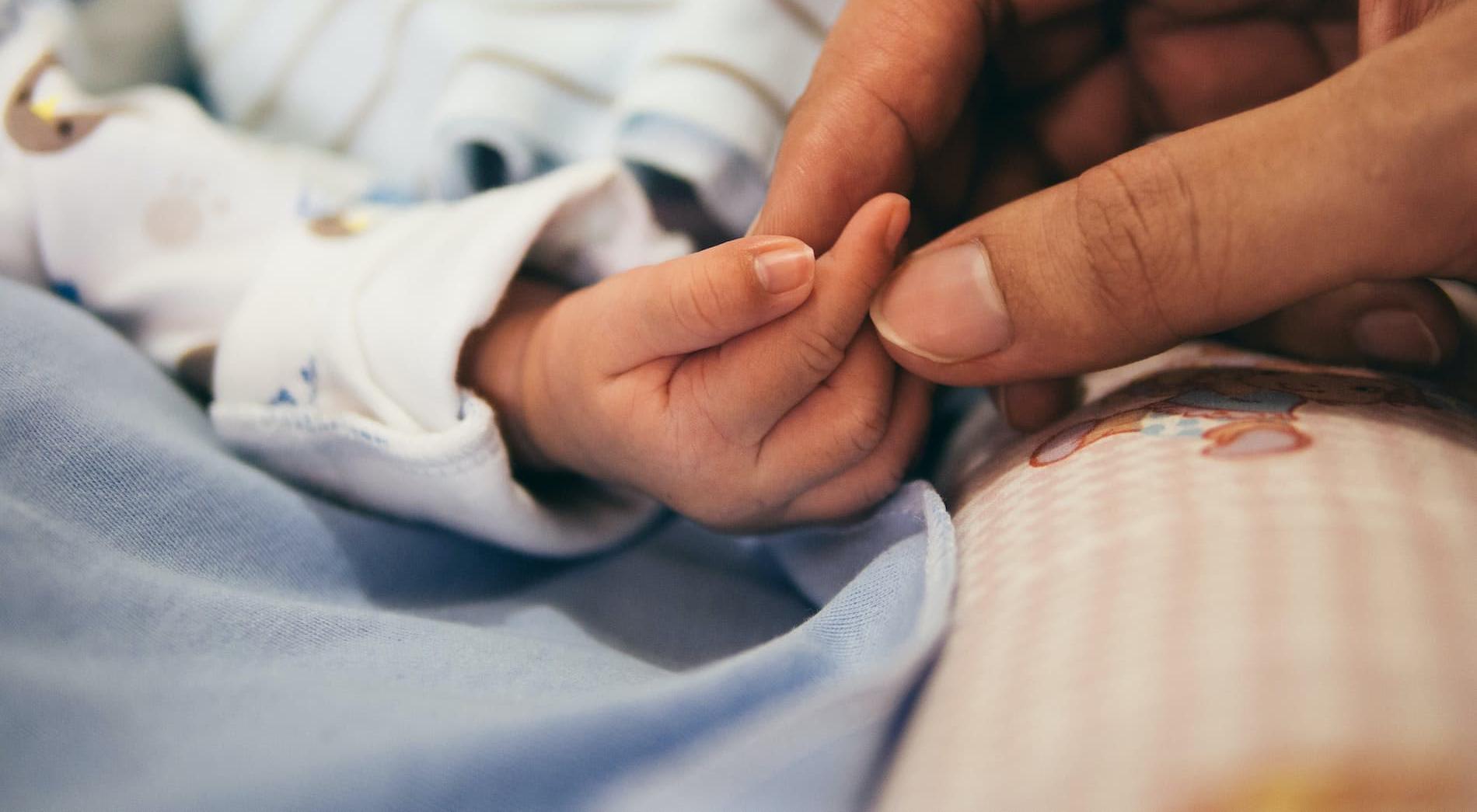An adult's hand holding a baby's finger