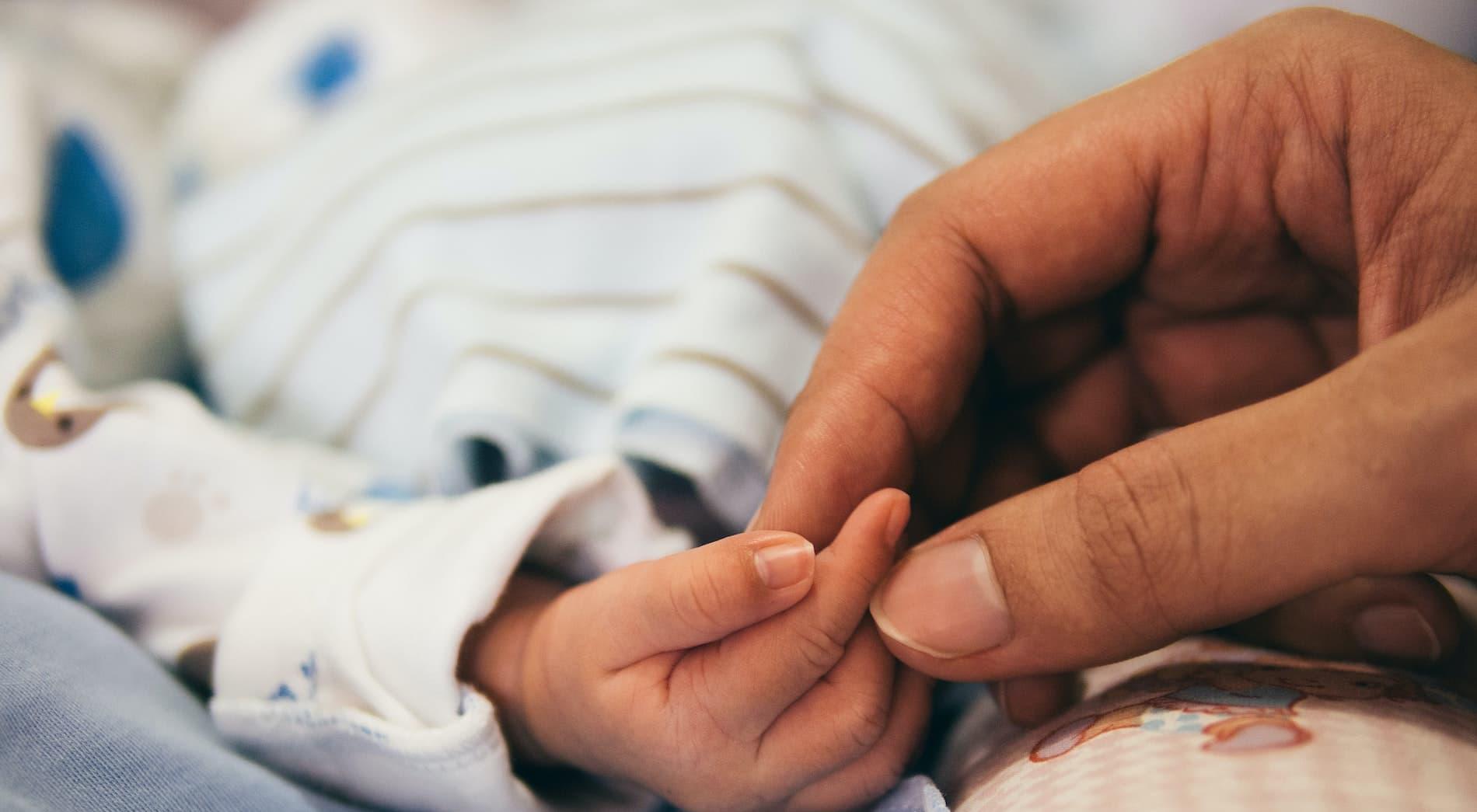 An adult's hand holding a baby's finger