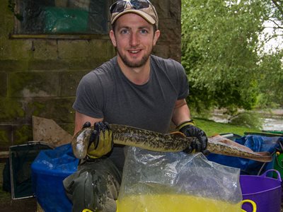 University of Hull project receives grant to protect declining species