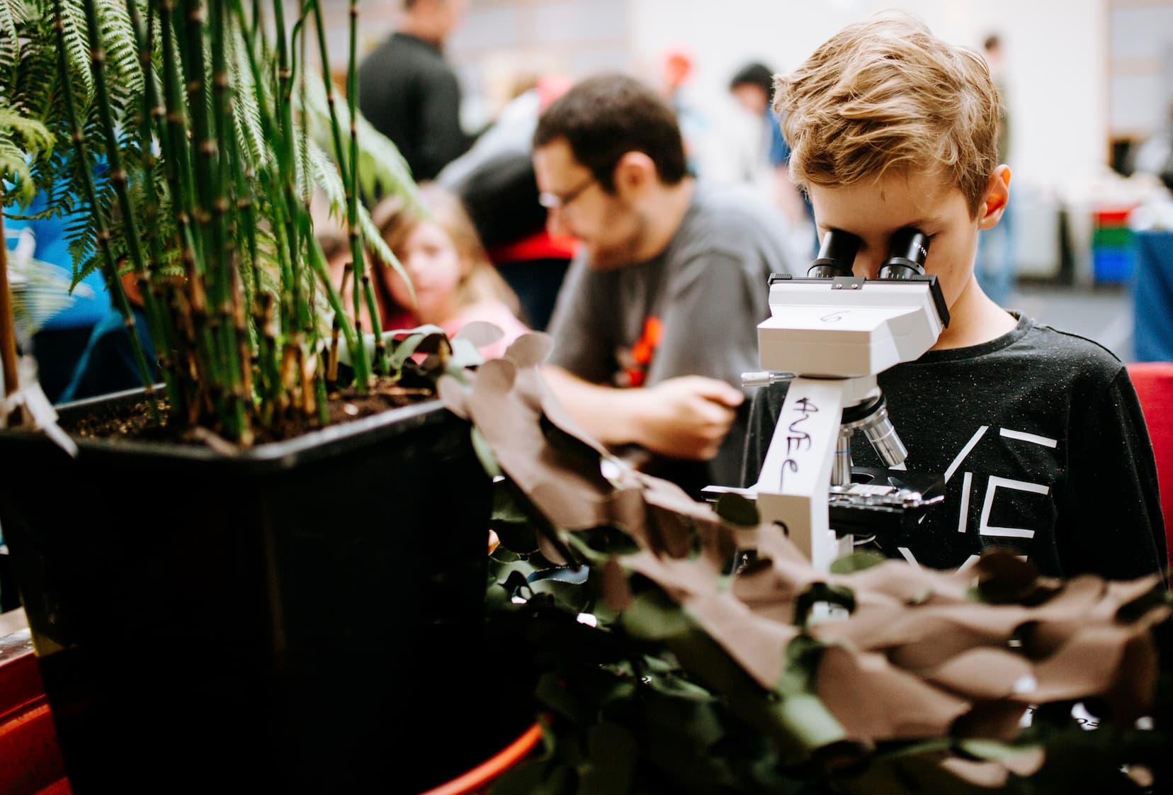 A boy looks into a microscope at Humber Science Festival
