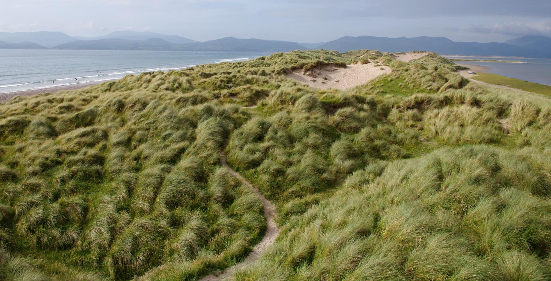 Irish coast