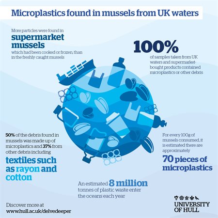 mussel-infographic-Cropped-450x450