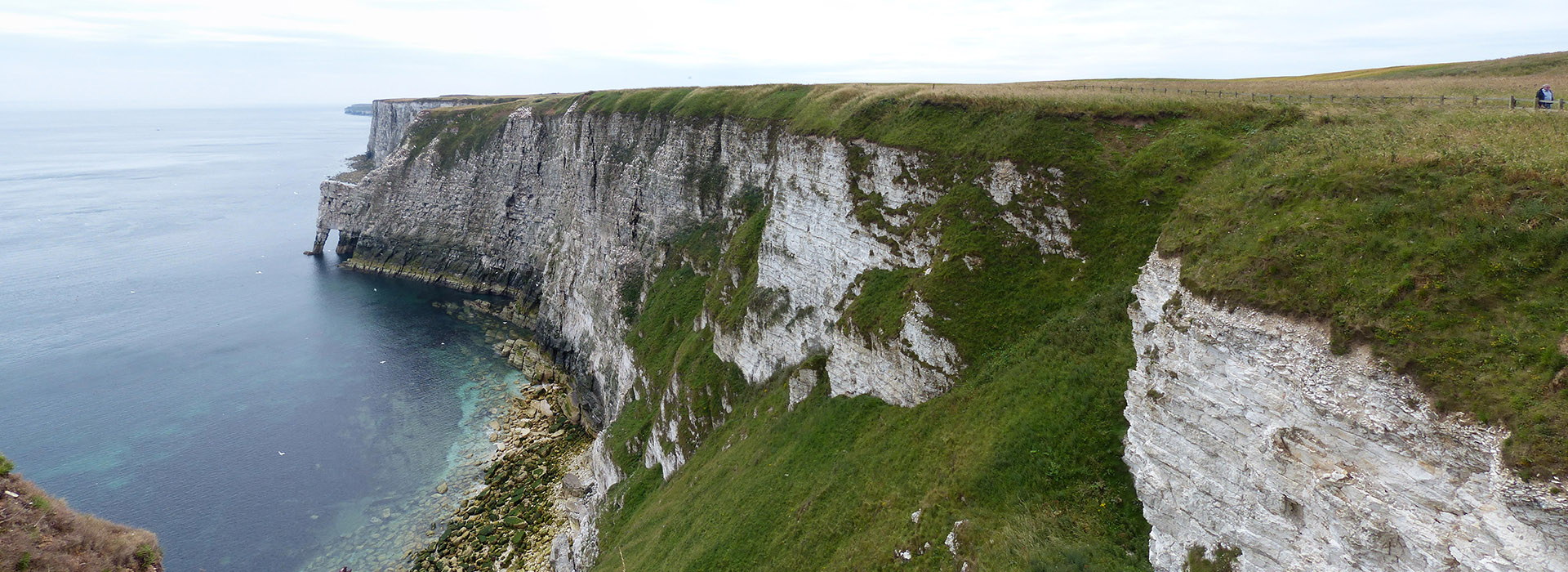 eei-bempton-cliffs-wikimedia-commons