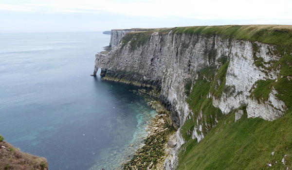 eei-bempton-cliffs-wikimedia-commons
