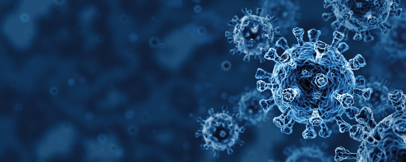 hull biochemist answers biggest questions on covid 19 vaccine and new virus strain university of hull
