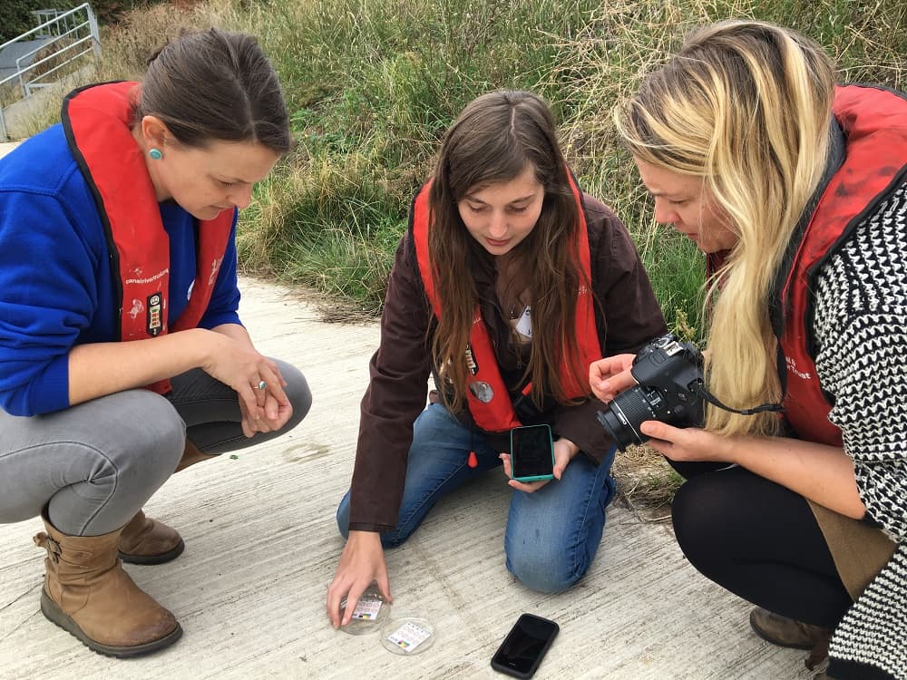 Testing water samples