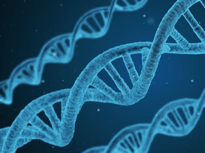 Unravelling DNA's structure: a landmark achievement whose authors were not fairly credited