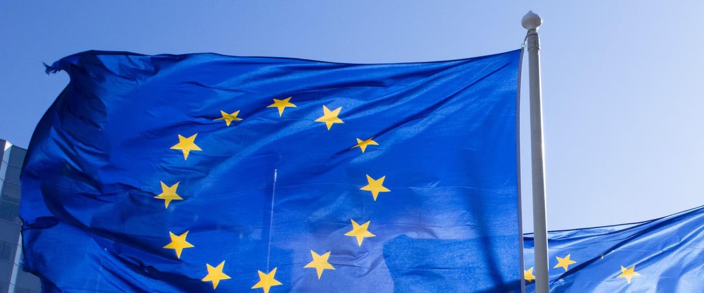 European Union flags