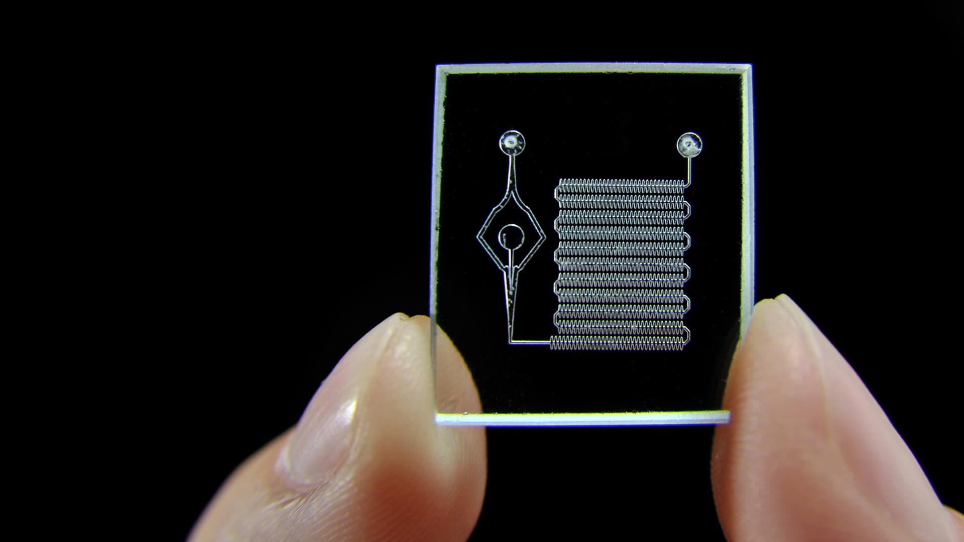 Lab on a chip