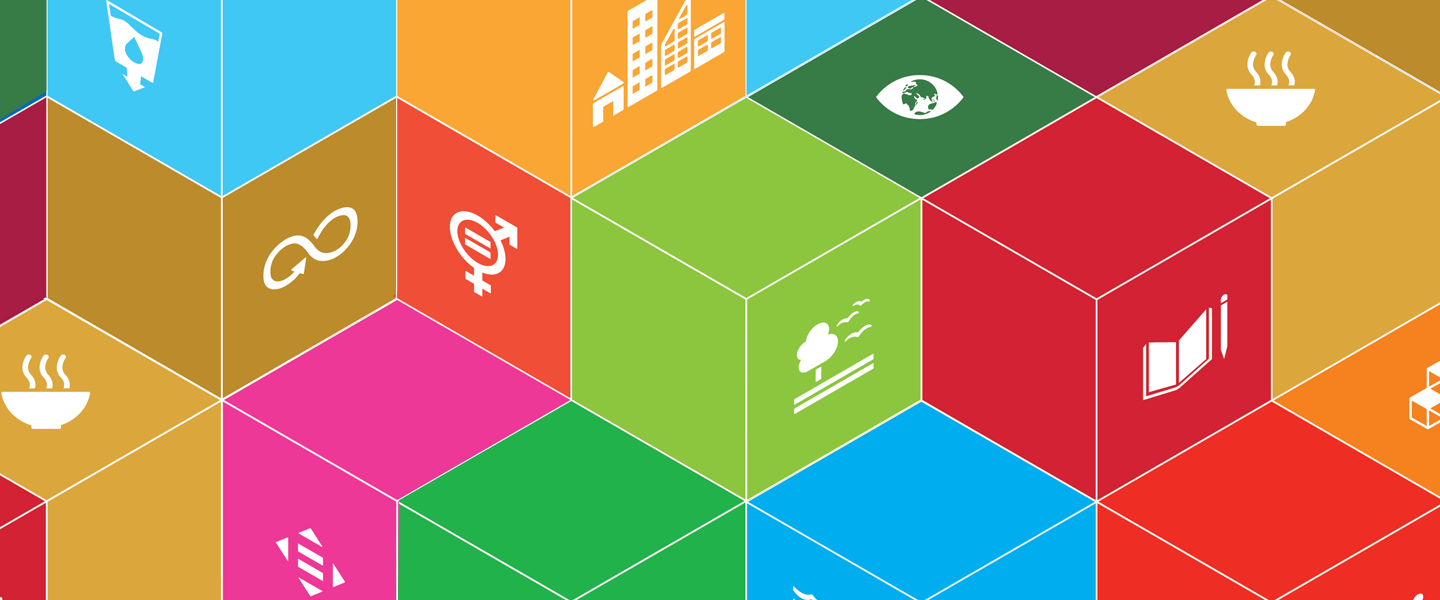 sdg_primer_big