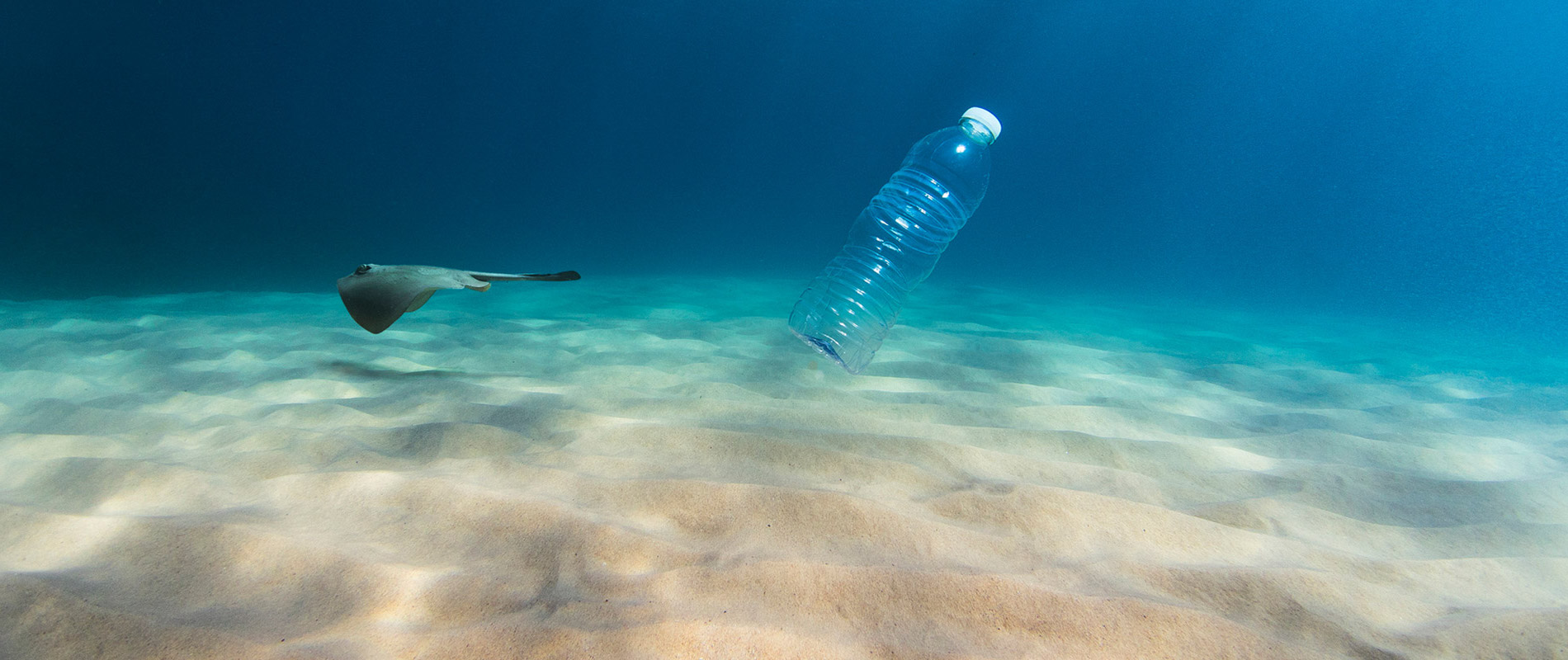 Plastic bottle in the ocean